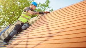 Best Sheet Metal Roofing  in Annapolis Neck, MD