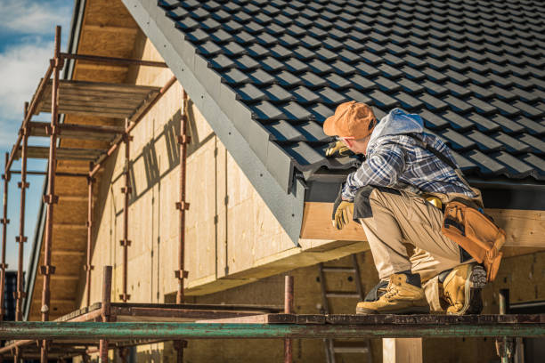 Best Metal Roofing Installation  in Annapolis Neck, MD