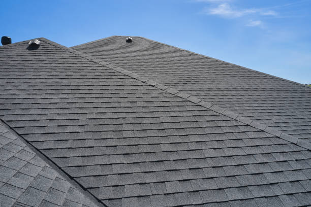Best Roof Ventilation Installation  in Annapolis Neck, MD